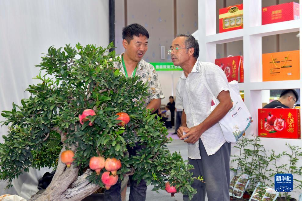 澳门注册送礼金的平台